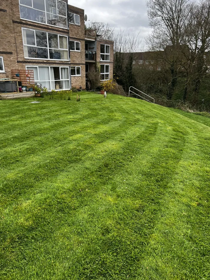 Communal lawn, striped finish