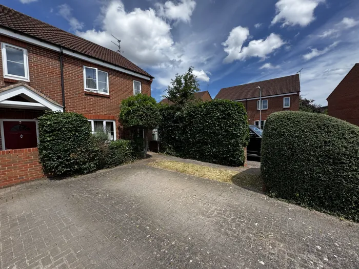 Front hedges shaped and cleared